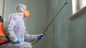 Trusted Algonquin, IL Mold Removal & Remediation Experts