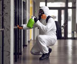 Best Emergency Mold Remediation  in Algonquin, IL