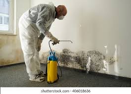 Best Mold Removal for HVAC Installations  in Algonquin, IL